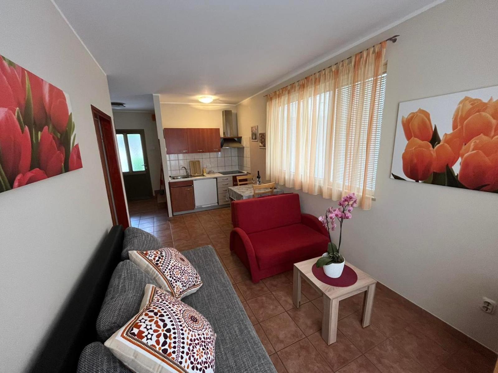Family Apartments Suzi Rovinj Eksteriør bilde